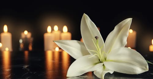 Paul Detwiler Plain, OH Obituary, Death