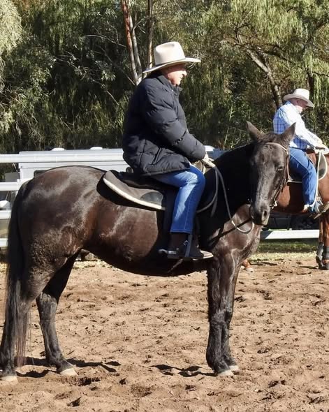 Kenny Knight Aberdeen, NSW-AUS Death-Obituary